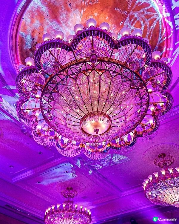 《必去‼️迪士尼全新多媒體夜間匯演🎇》