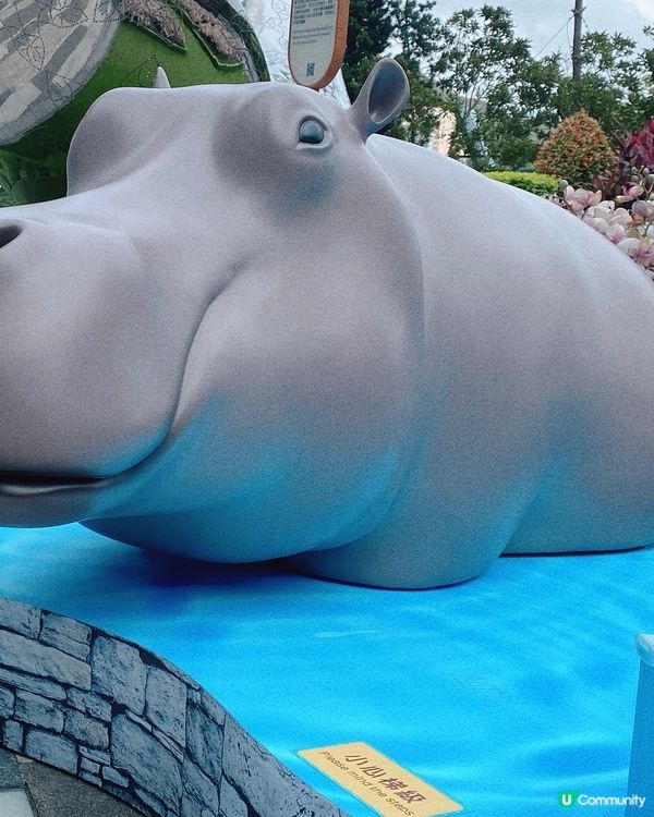 𝗔𝗻𝗶𝗺𝗮𝗹 𝗔𝗱𝘃𝗲𝗻𝘁𝘂𝗿𝗲...