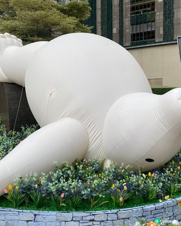 𝗔𝗻𝗶𝗺𝗮𝗹 𝗔𝗱𝘃𝗲𝗻𝘁𝘂𝗿𝗲...