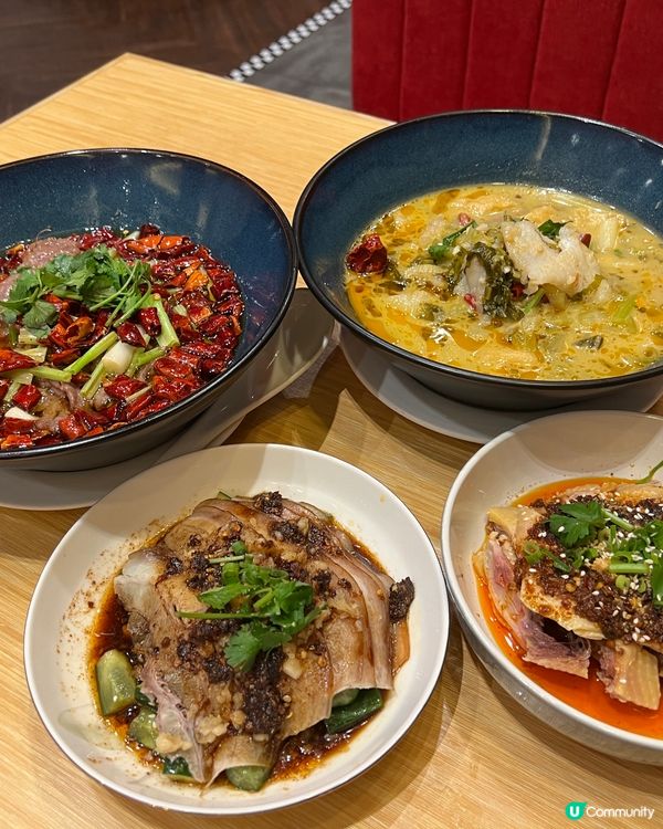 好耐無食過川菜，今次就同朋友黎到尖沙嘴點一龍，點一龍既川菜係...