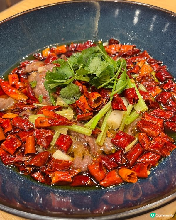 好耐無食過川菜，今次就同朋友黎到尖沙嘴點一龍，點一龍既川菜係...