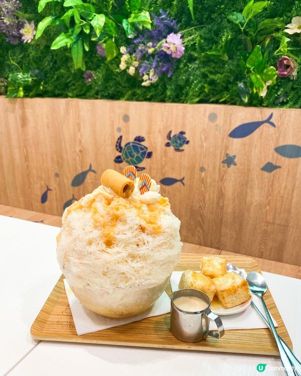 之前食過2次嘅甜姨姨，早前被迫停業三個月，今日終於開返啦～