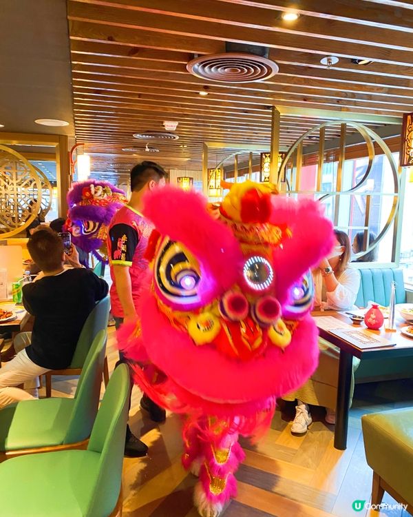 🌶麻辣風雲旺角店正式開幕啦🎉