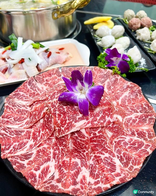 上網見到呢度有鱷魚肉打邊爐好想試下