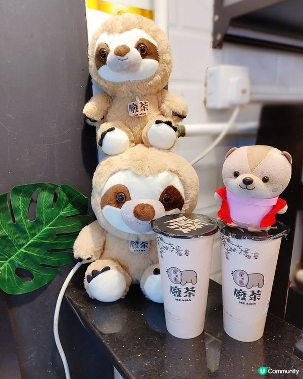 葵廣一向是個美食雲集的地方，各式各樣的小店有很多選擇。夏日火...