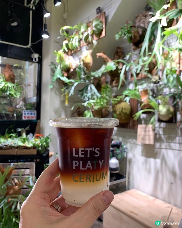 OXY鹿角蕨類咖啡店，招牌咖啡-冷萃椰皇咖啡，原粒椰汁超好飲...