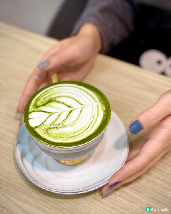 [🐻 石屎高樓下的小清新🍀 ]