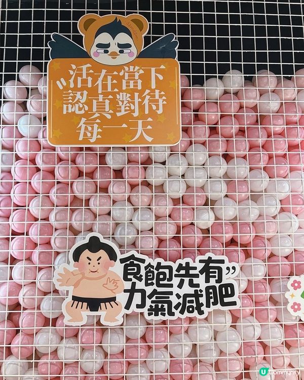 ✤♡ 滋潤甜品 • 滋補之選 • 啖啖燕窩 ♡✤