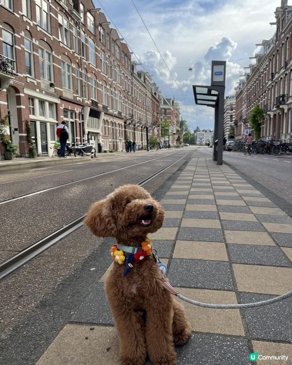 狗生第一次衝出香港，向世界出發！