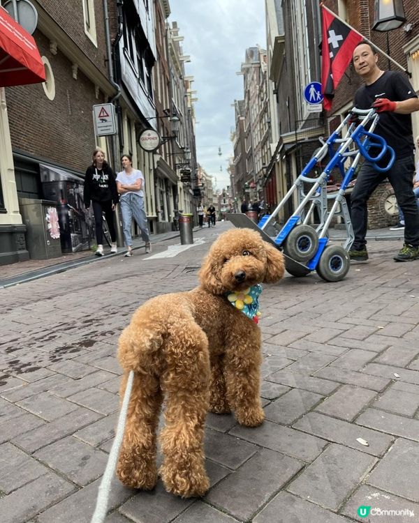 狗生第一次衝出香港，向世界出發！