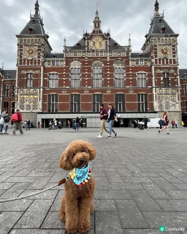 狗生第一次衝出香港，向世界出發！