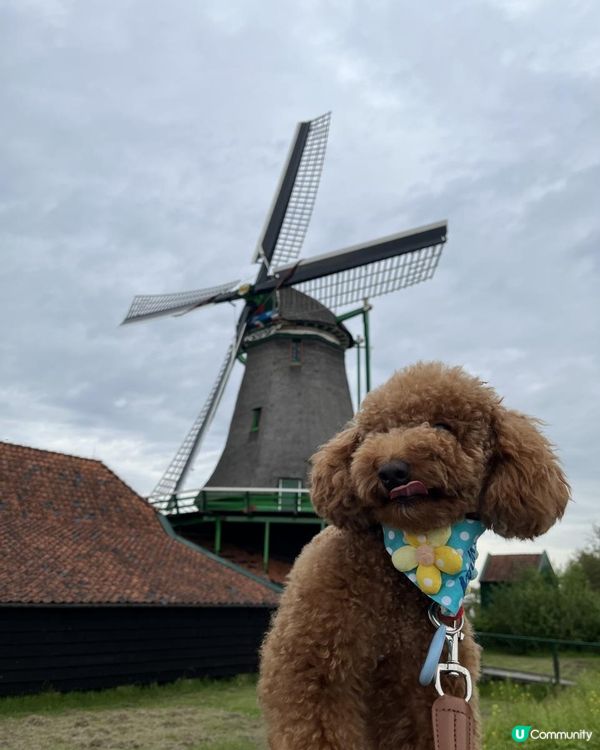 狗生第一次衝出香港，向世界出發！