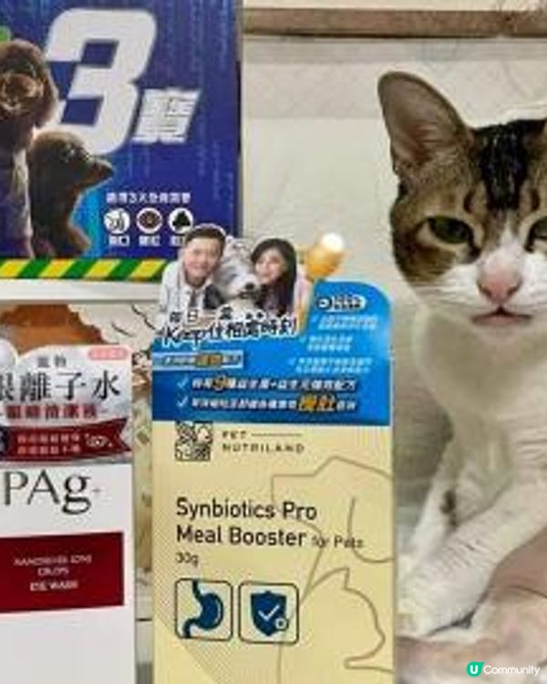 屋企有兩個🐈主子，已經七歲啦，唔算好老，但近日都開始有啲小毛...