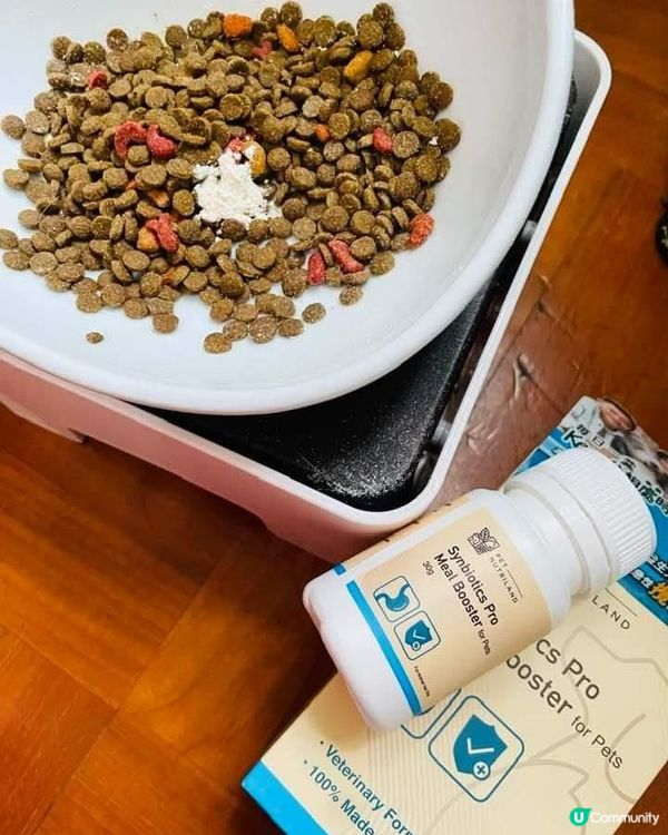 屋企有兩個🐈主子，已經七歲啦，唔算好老，但近日都開始有啲小毛...