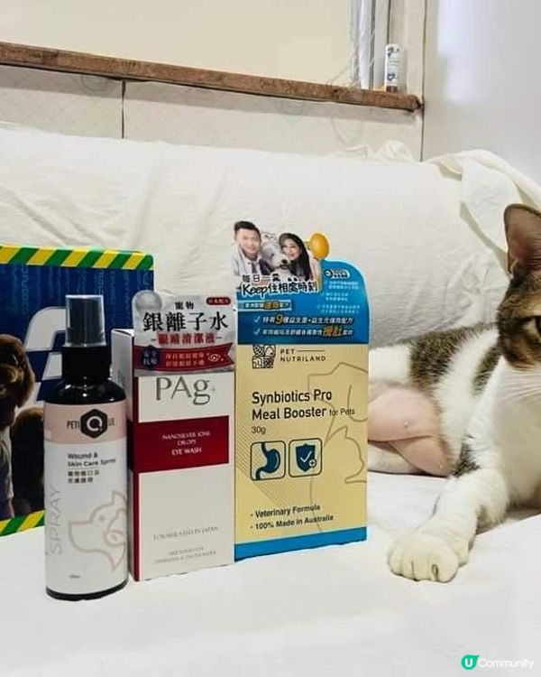 屋企有兩個🐈主子，已經七歲啦，唔算好老，但近日都開始有啲小毛...