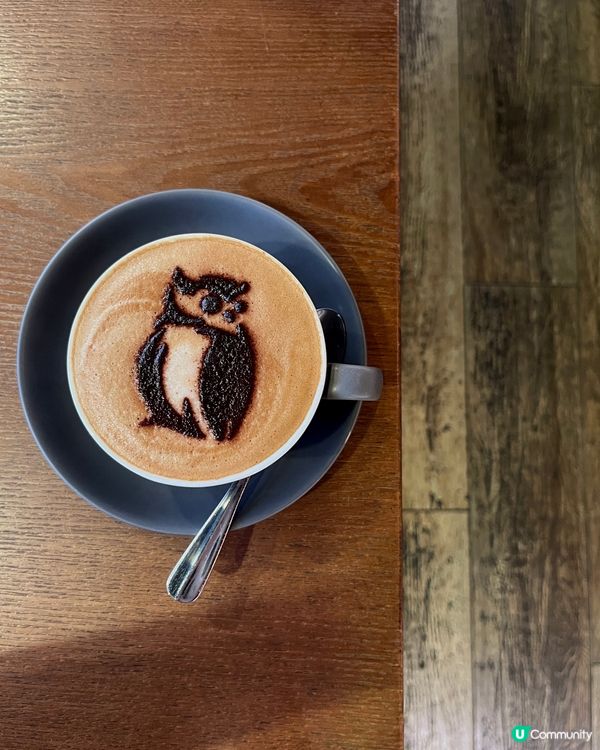🦉☕️ 元朗/九龍城西餐廳 除咗咖啡拉花 店內仲有好多貓頭鷹...