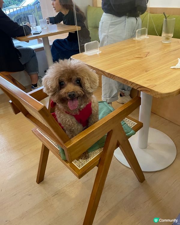 聽講呢度有狗狗餐🤤