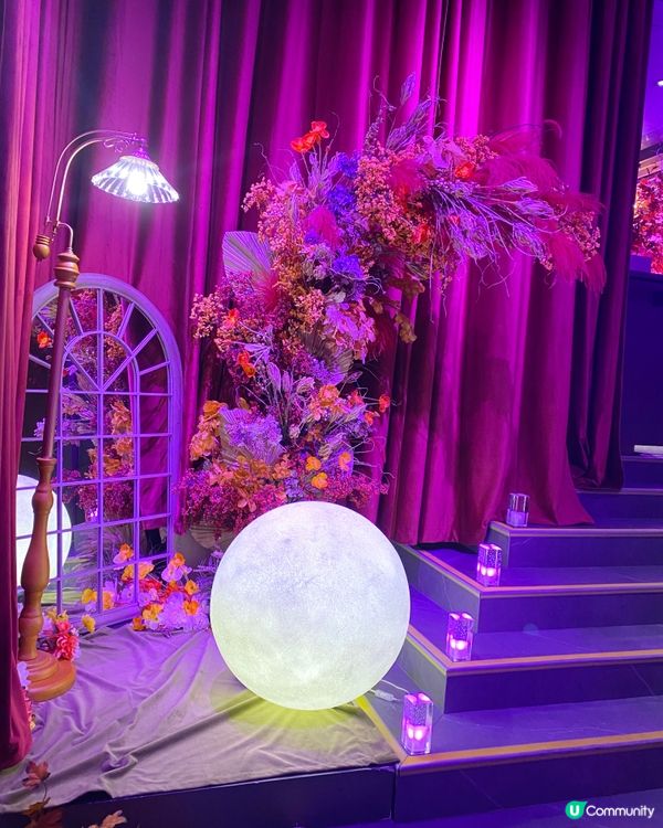 白滷水九孔鮑魚