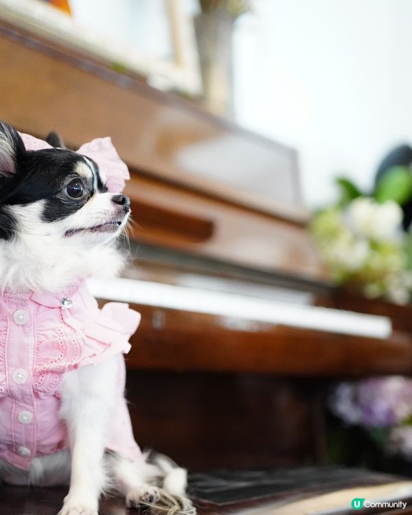 今年夏天真係勁熱🌡