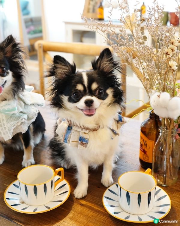 今年夏天真係勁熱🌡