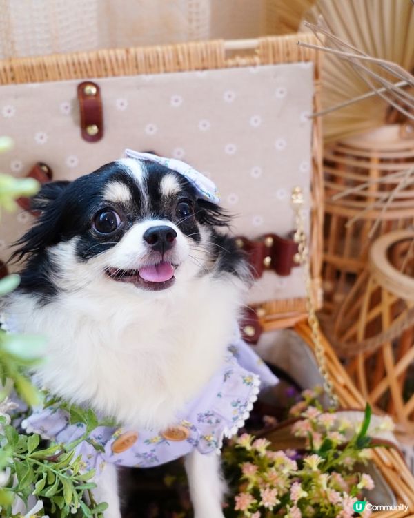 今年夏天真係勁熱🌡