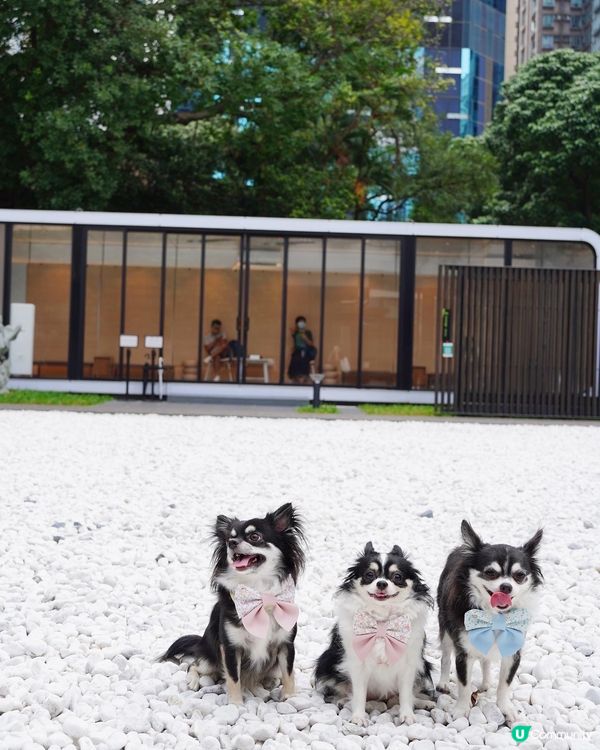 Travel with BFFs🐾