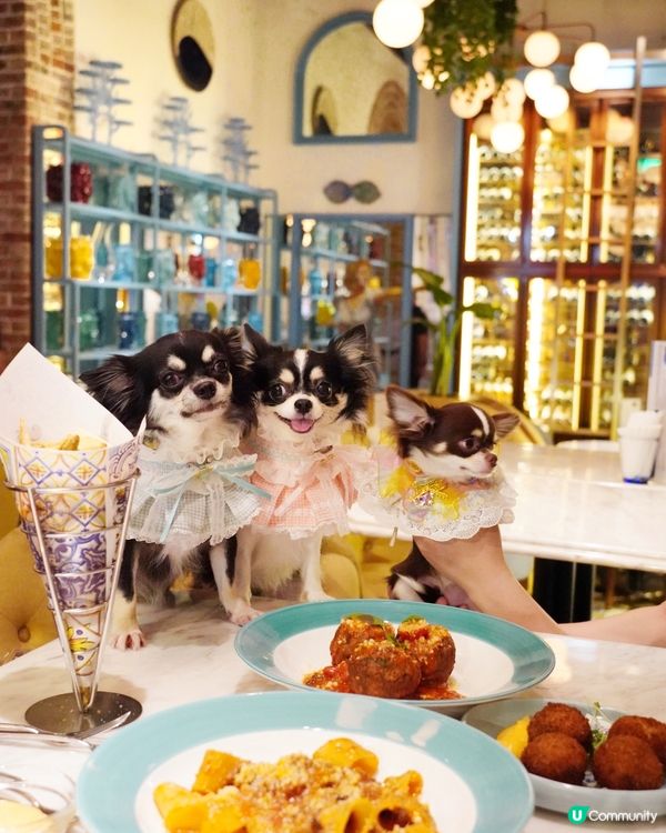 Italian🇮🇹 dinning style with B...