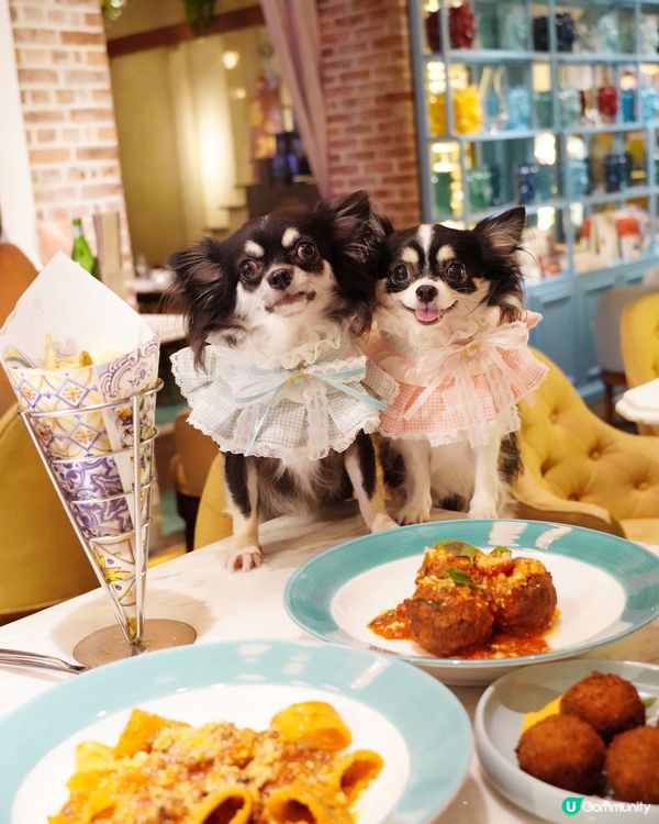 Italian🇮🇹 dinning style with B...