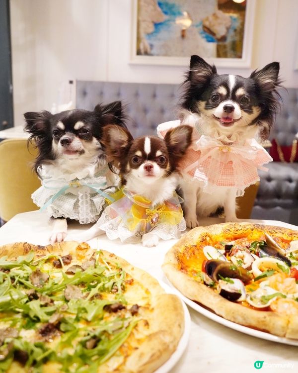 Italian🇮🇹 dinning style with B...