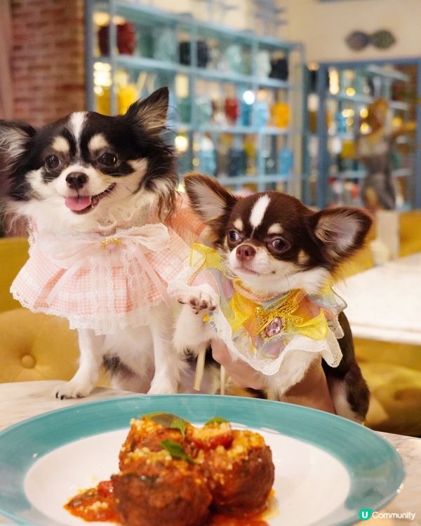 Italian🇮🇹 dinning style with B...