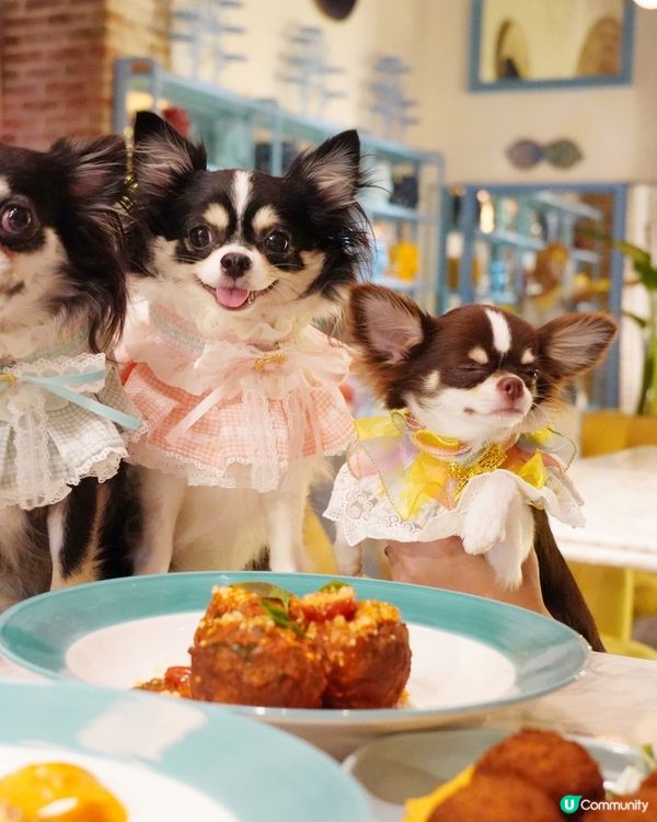 Italian🇮🇹 dinning style with B...