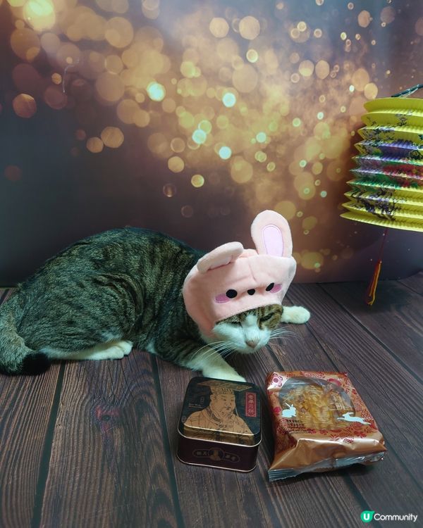 😾又趁我瞓梗抱我同搞我，影完中秋節相未？我對眼就嚟擘唔大。