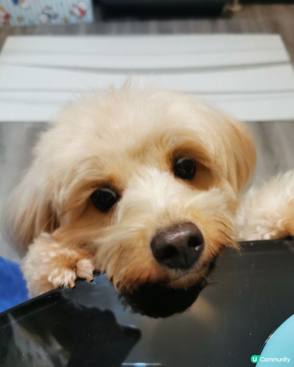 🍭：我叫波板糖妹妹，但人人都叫我做趣怪妹妹。。