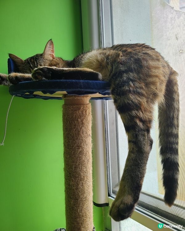 Friday Mood .... 爸爸媽媽你地幾時放假？你地...