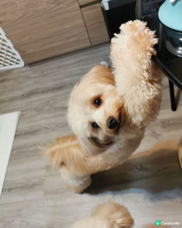 🍭：我叫波板糖妹妹，但人人都叫我做趣怪妹妹。。