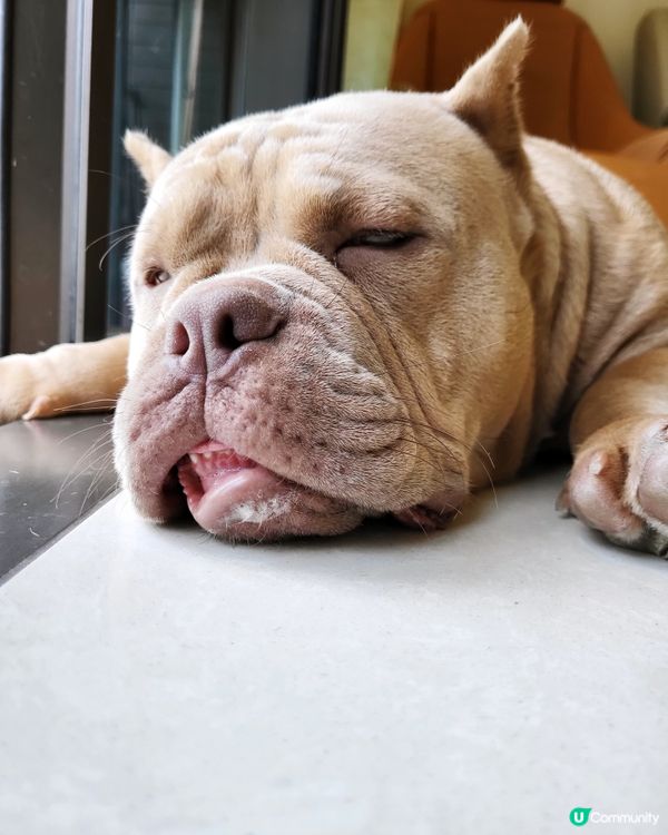 完美演繹星期一返工的樣子，唔想返工呀…無心機