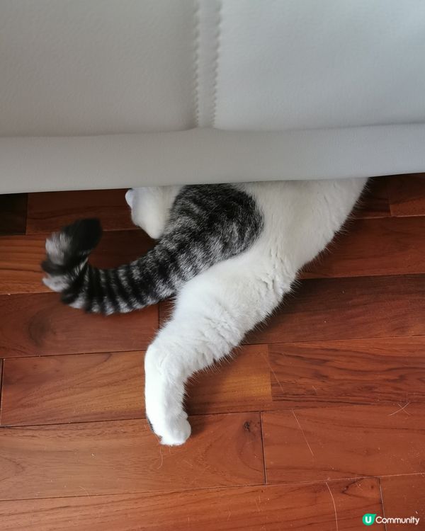 拜拜你條尾😂😂