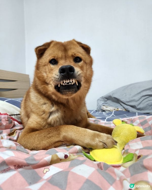 媽媽叫我出去返工幫補下喎~