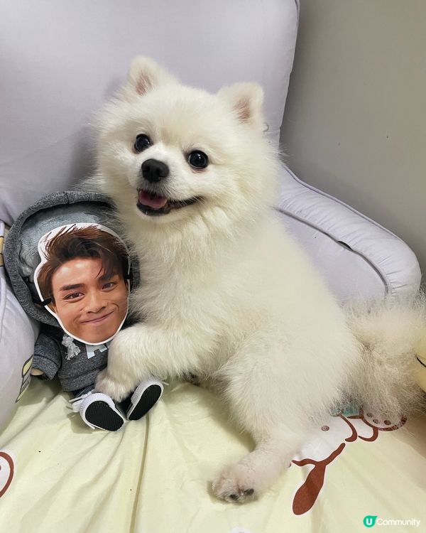 Happy仔話：老闆，jer與我🤣🤣