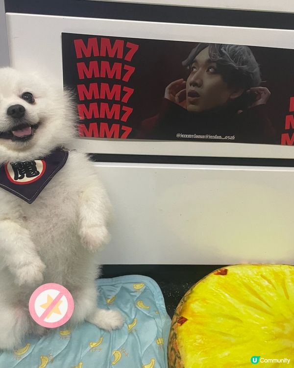 Happy仔話：老闆，jer與我🤣🤣