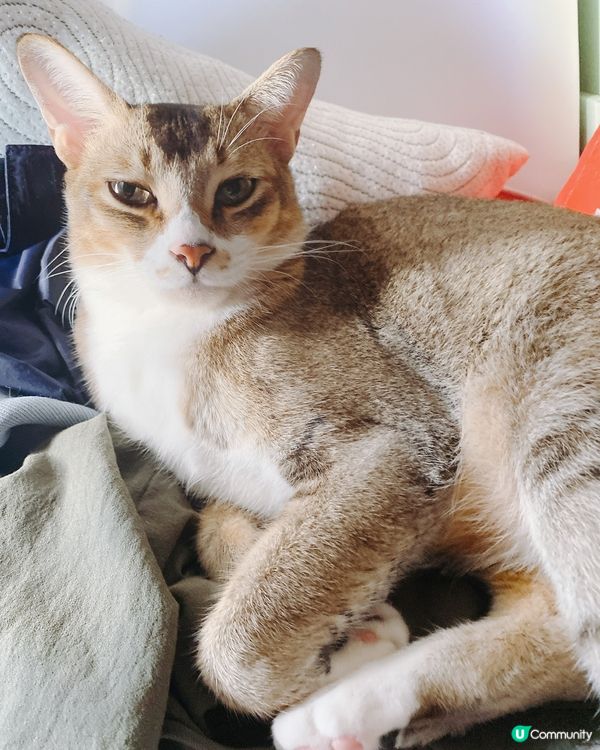 日光浴🌞，今日太陽咁好唔係唔曬下呀！？