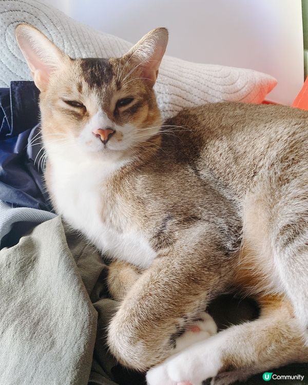 日光浴🌞，今日太陽咁好唔係唔曬下呀！？