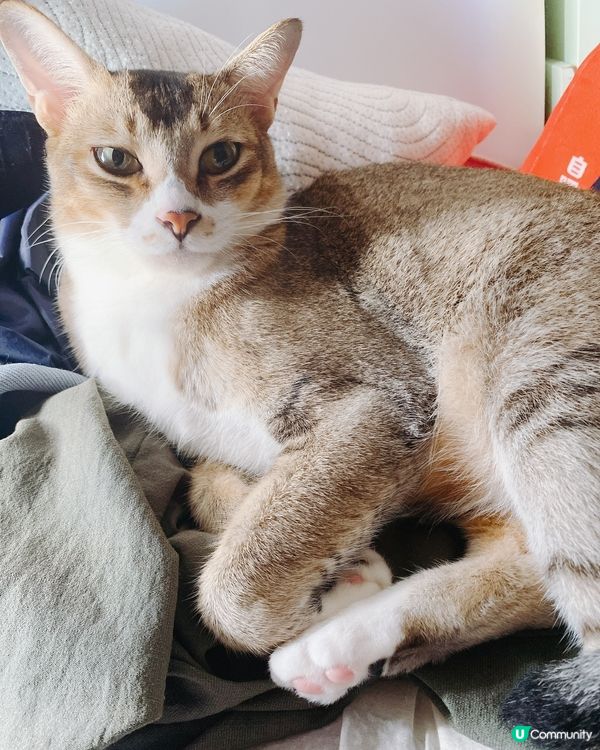 日光浴🌞，今日太陽咁好唔係唔曬下呀！？