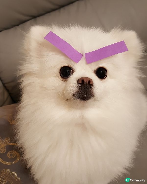 你地睇下我，粗眉大眼幾靚……女🙈🙈🙈