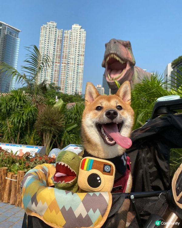 今日呀媽帶左我去睇恐龍🦖 呀媽呀恐龍啲牙齒好似我 不過我就話...