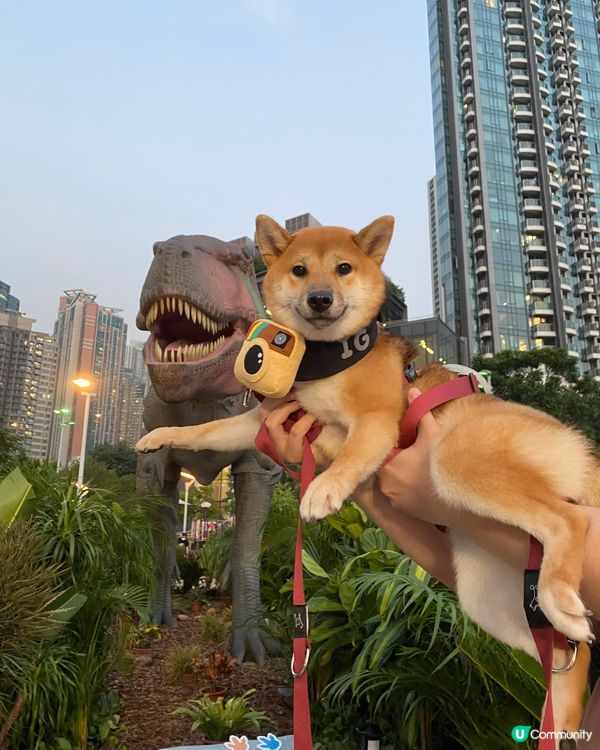 今日呀媽帶左我去睇恐龍🦖 呀媽呀恐龍啲牙齒好似我 不過我就話...