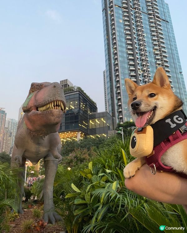 今日呀媽帶左我去睇恐龍🦖 呀媽呀恐龍啲牙齒好似我 不過我就話...