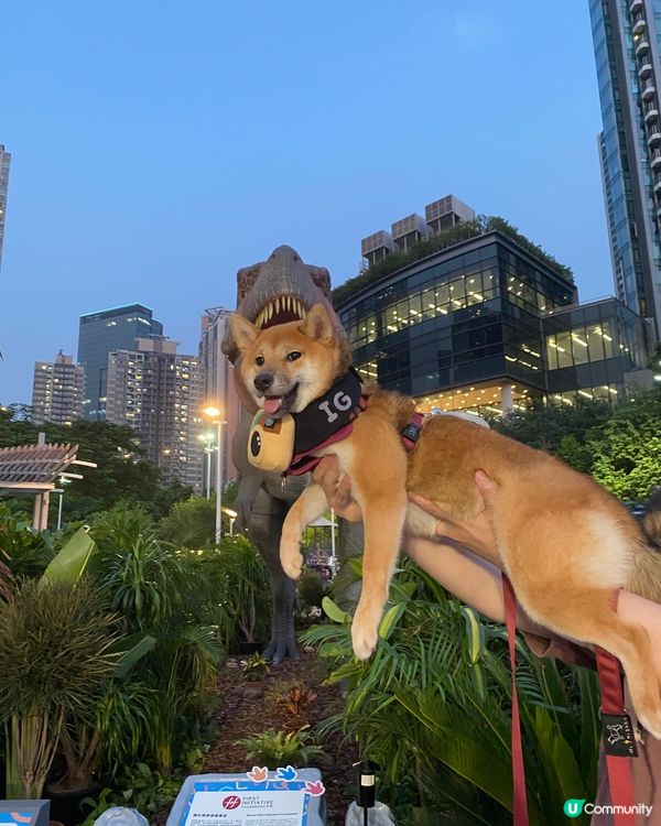 今日呀媽帶左我去睇恐龍🦖 呀媽呀恐龍啲牙齒好似我 不過我就話...