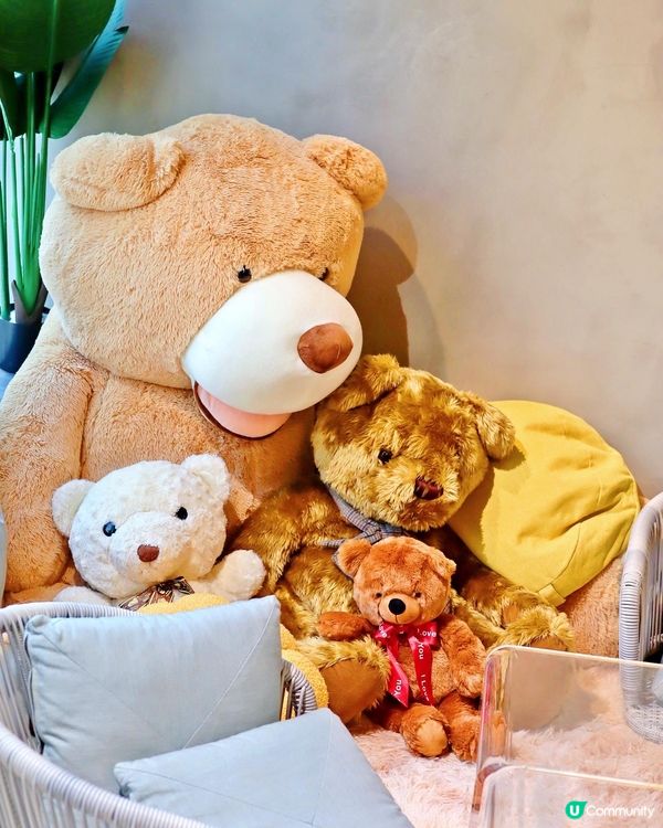 可愛熊仔打卡 Cafe