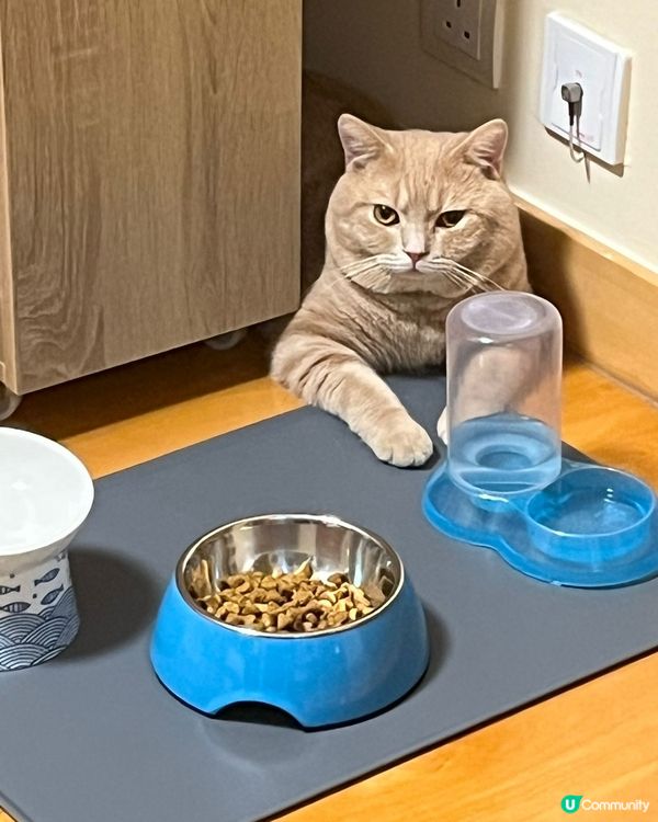 點解嬲爆爆罷食呀！邊個激親你呢？定係你决定要減肥呢？🤣🤣🤣...